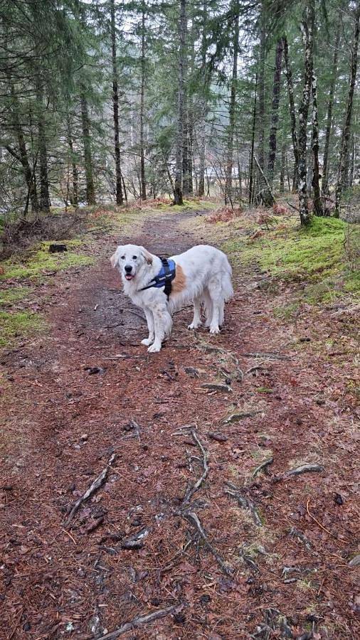 Location de vacances pour 2 personnes, avec jardin et vue à Bugeat - 3