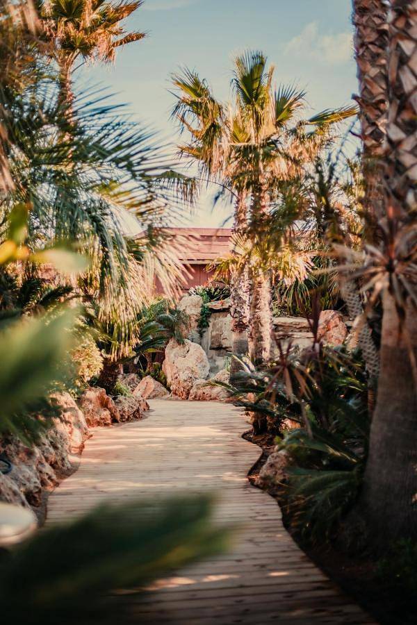 Parc de vacances pour 4 personnes, avec piscine ainsi que jardin et vue sur la Côte d'Azur - 3