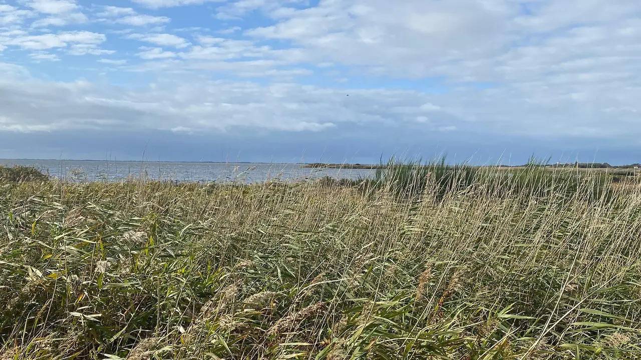 Ferienhaus für 4 Personen (40 m²) in Skjern in Skjern, Ringkøbing Fjord