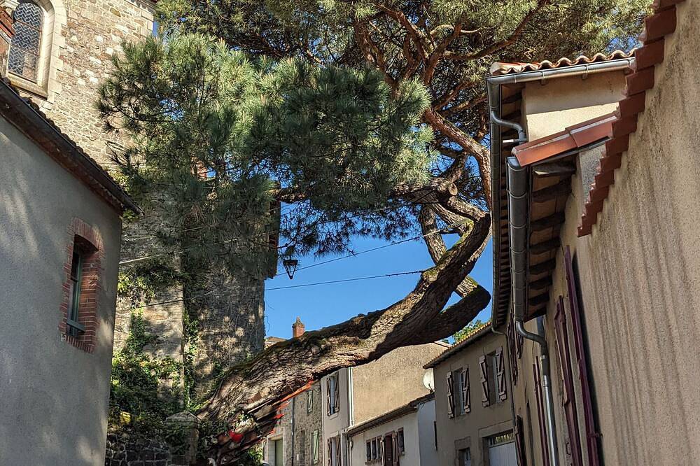 Entire apartment, Unique apartment with wifi in central Clisson in Clisson, Nantes region