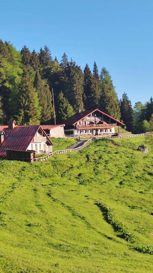 Location de vacances pour 2 personnes, avec jardin ainsi que vue et terrasse, animaux acceptés à Ampezzo