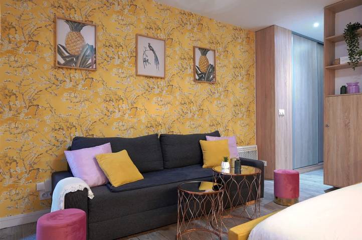 Ferieleilighet for 4 personer, dyr tillatt i Paris