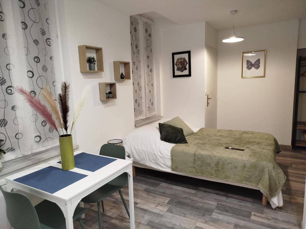 Appartement entier, One-Bedroom Apartment in Châlons-en-Champagne, Marne