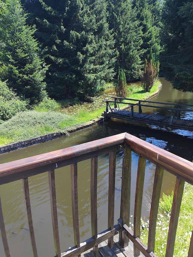 Location de vacances pour 2 personnes, avec terrasse et vue, animaux acceptés à Pouxeux
