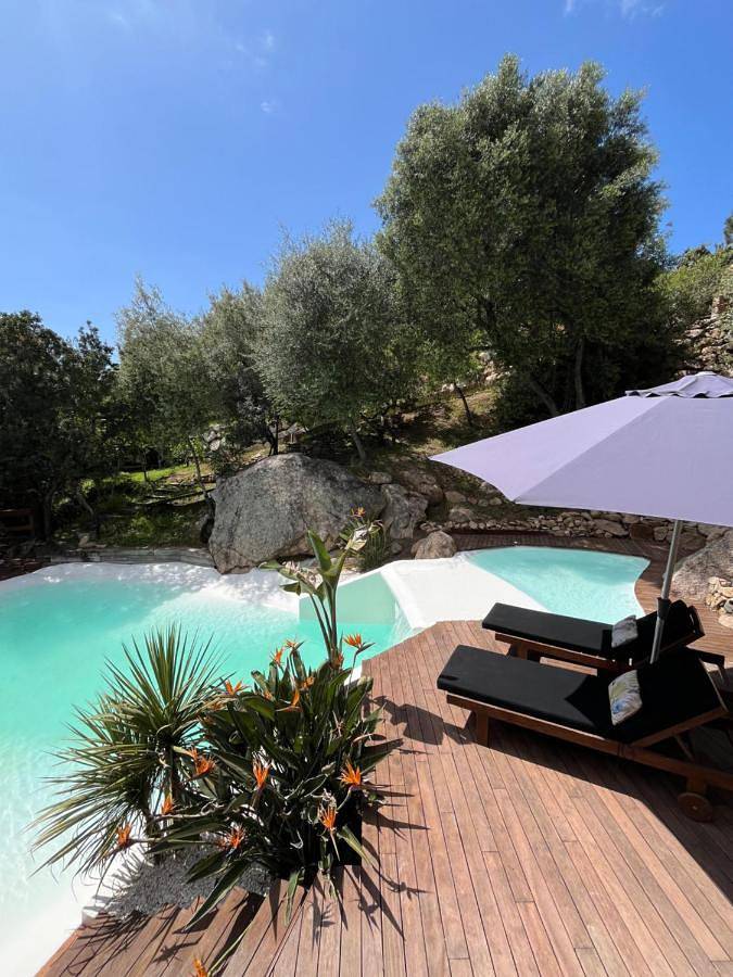 Maison d’hôte pour 2 personnes, avec Terrasse et Jacuzzi ainsi que Jardin et Piscine en Corse-du-Sud