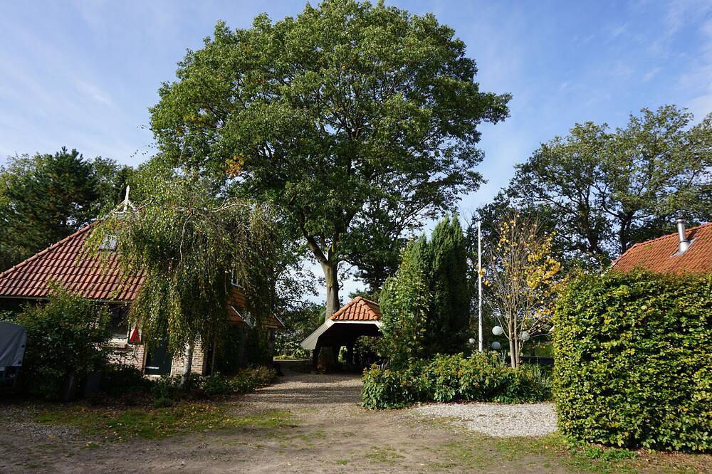 Agriturismo für 4 Personen in Eibergen, Gelderland