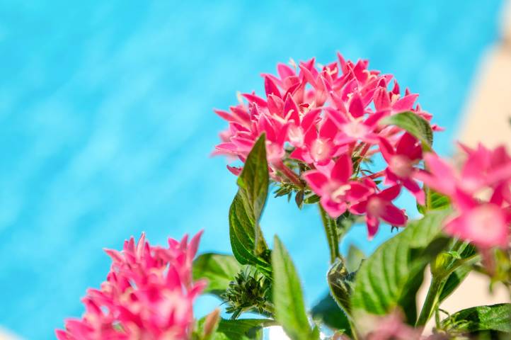 Hütte für 3 Personen, mit Garten und Terrasse in Griechenland - 4