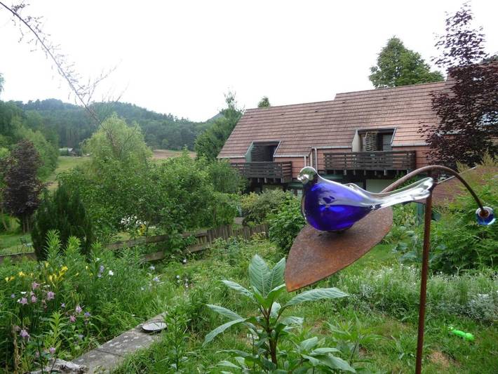 Hôtel pour 4 personnes, avec terrasse et jardin à Obersteinbach - 4