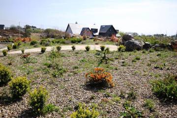 Ferienhaus für 6 Personen in Connemara, County Galway, Bild 4