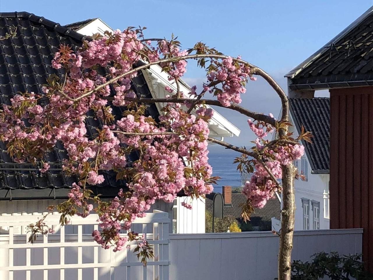 8 Personer feriebolig i Larvig in Larvik