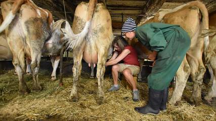 Ferienwohnung für 4 Personen in Neumarkt in Steiermark, Westliche Obersteiermark, Bild 1