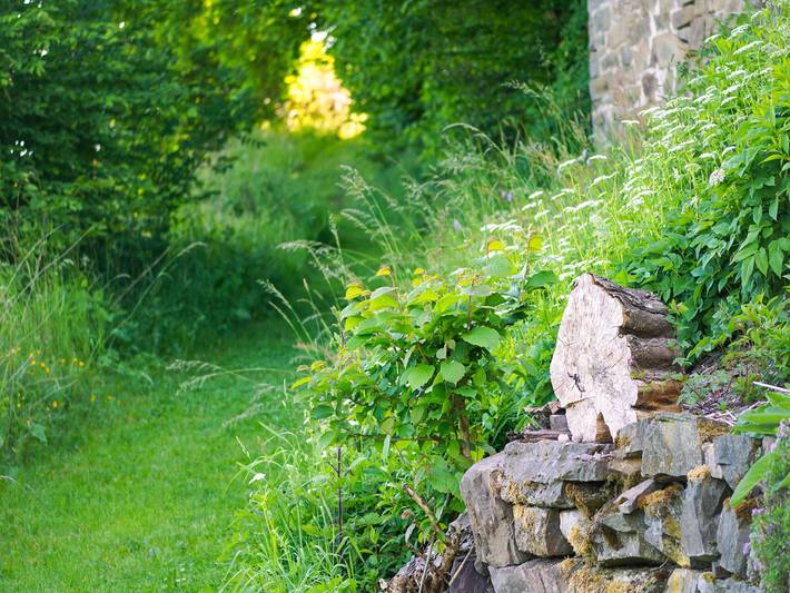 Ferienhaus für 5 Personen, mit Garten und Sauna, kinderfreundlich im Siegerland - 4