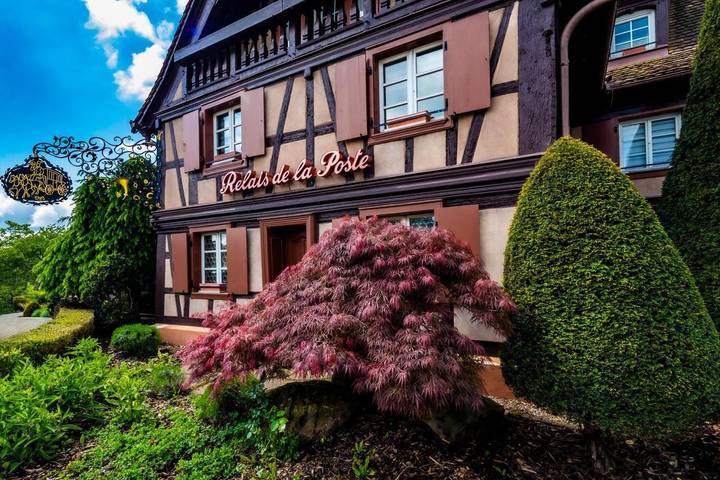 Hôtel pour 3 personnes, avec vue et terrasse, animaux acceptés à La Wantzenau - 2