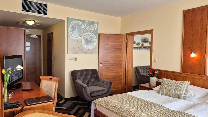 Hôtel pour 2 personnes, avec vue et terrasse, animaux acceptés à Plzeň - 4