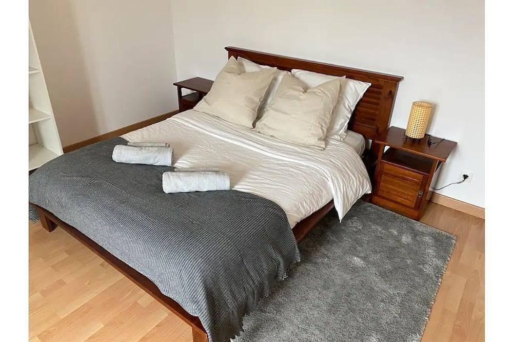 Sully-sur-loire: Pleasant house in town center in Sully-sur-Loire, Valle del Loira