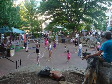 Chalet for 10 Guests in Cataloochee Valley, Haywood County, Picture 3