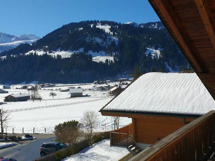Apartamento entero, Bärnermutz # 2 in Lenk im Simmental, Lenk
