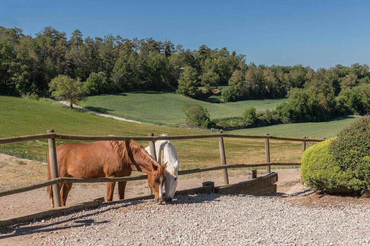 Cal Carulla in Pujalt, Barcelona inland