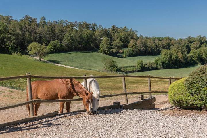 Casa rural para 4 personas, con vistas además de piscina y jardín, Se admiten mascotas en Provincia de Barcelona - 3