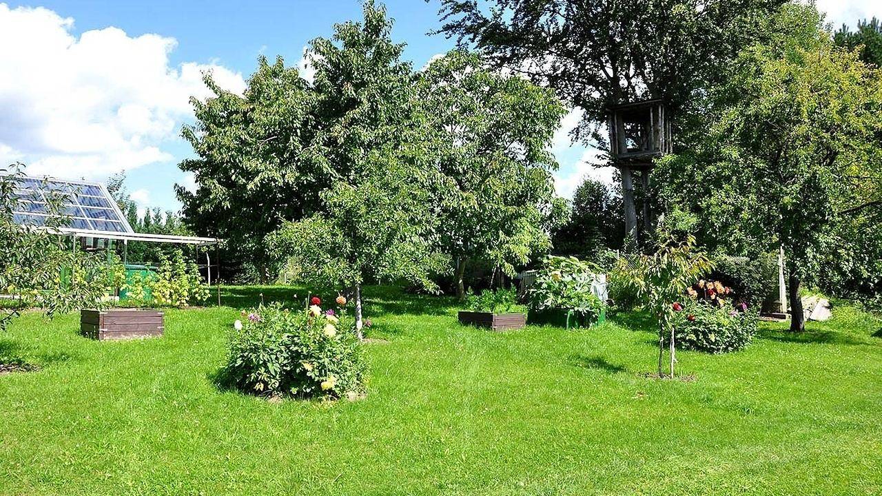 Ferienhaus für 4 Personen (50 m²) in Suhl in Suhl, Rennsteig