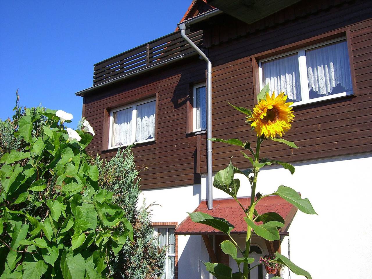 Ganze Ferienwohnung, Ferienwohnungen Königshof - Fw Königshof mit 1 Schlafzimmer in Königshütte (Harz), Harzvorland