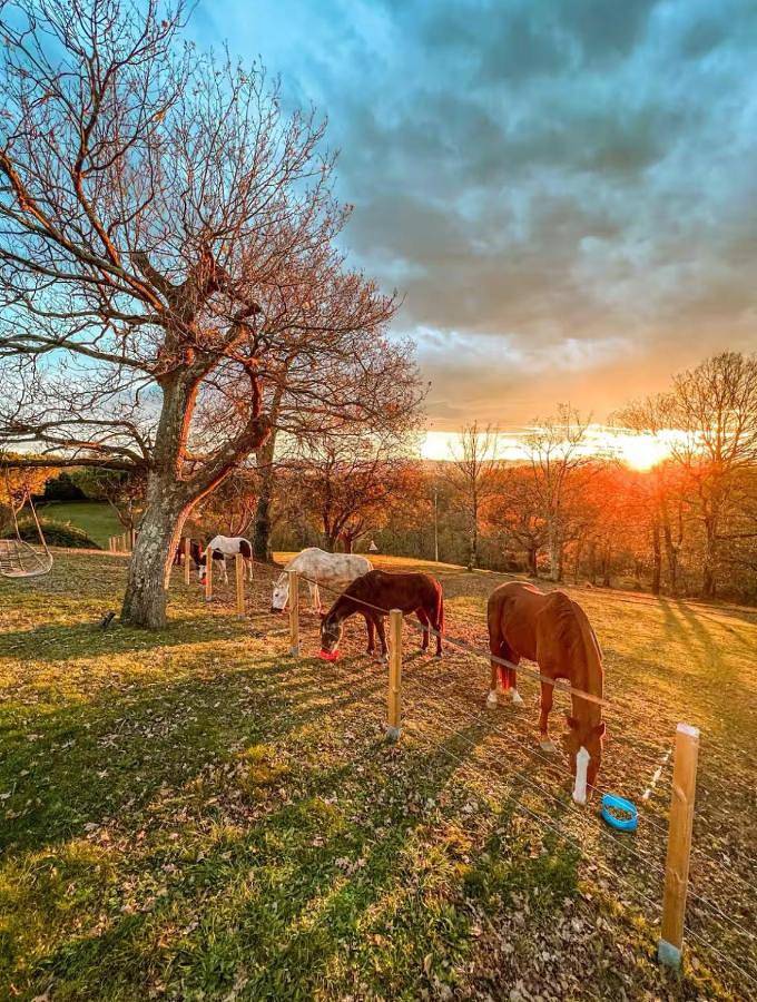 Chambre d’hôte pour 2 personnes, avec piscine et terrasse ainsi que jacuzzi et jardin en Pyrénées-Atlantiques - 2