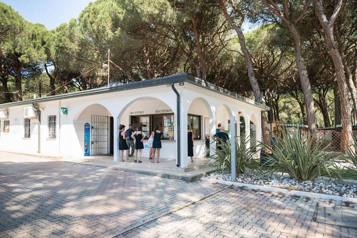 Location de vacances pour 4 personnes, avec piscine et jardin, animaux acceptés à Marina di Ravenna - 4