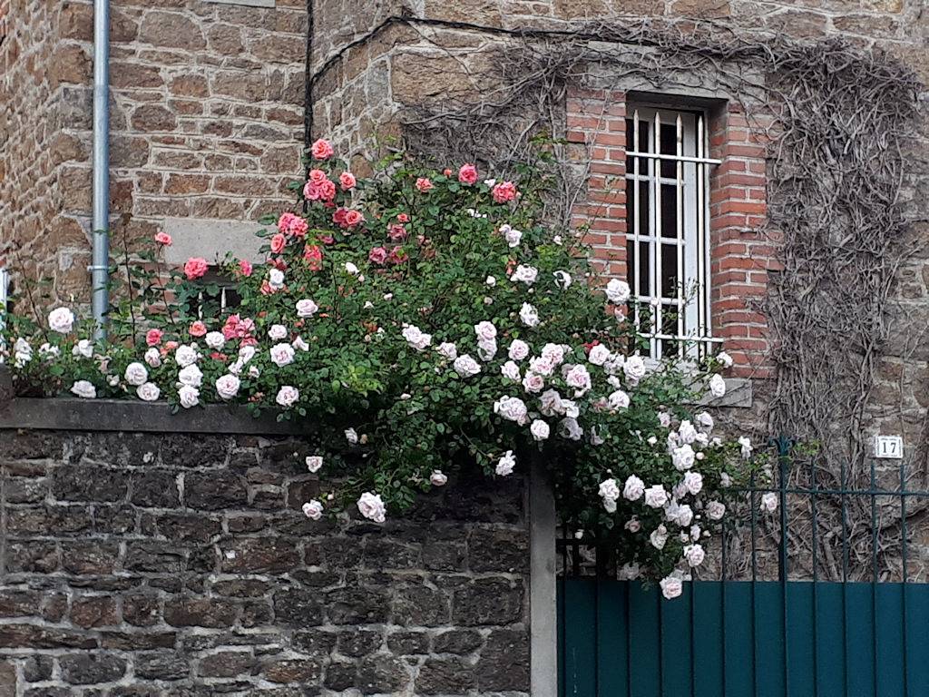 L'Escale Servannaise - Chambre in Saint-Malo, Région de Saint-Malo