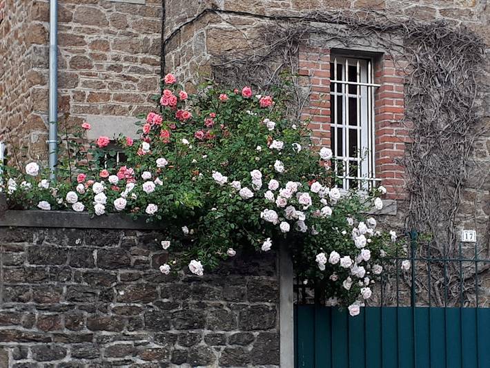 Chambre d’hôte pour 2 personnes, avec jardin en Ille-et-Vilaine - 2