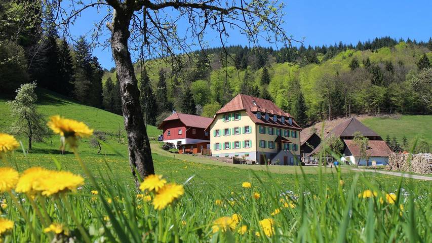 Ferienwohnung für 2 Personen in Schuttertal