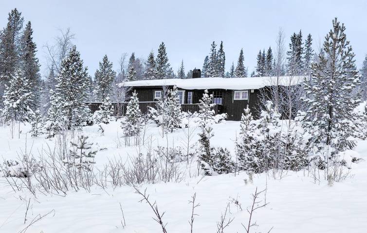Ferienhaus für 8 Personen mit Garten in Engerdal