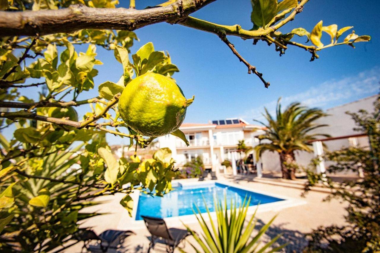 Ganze Wohnung, Apartment in Raposeira, Vila do Bispo