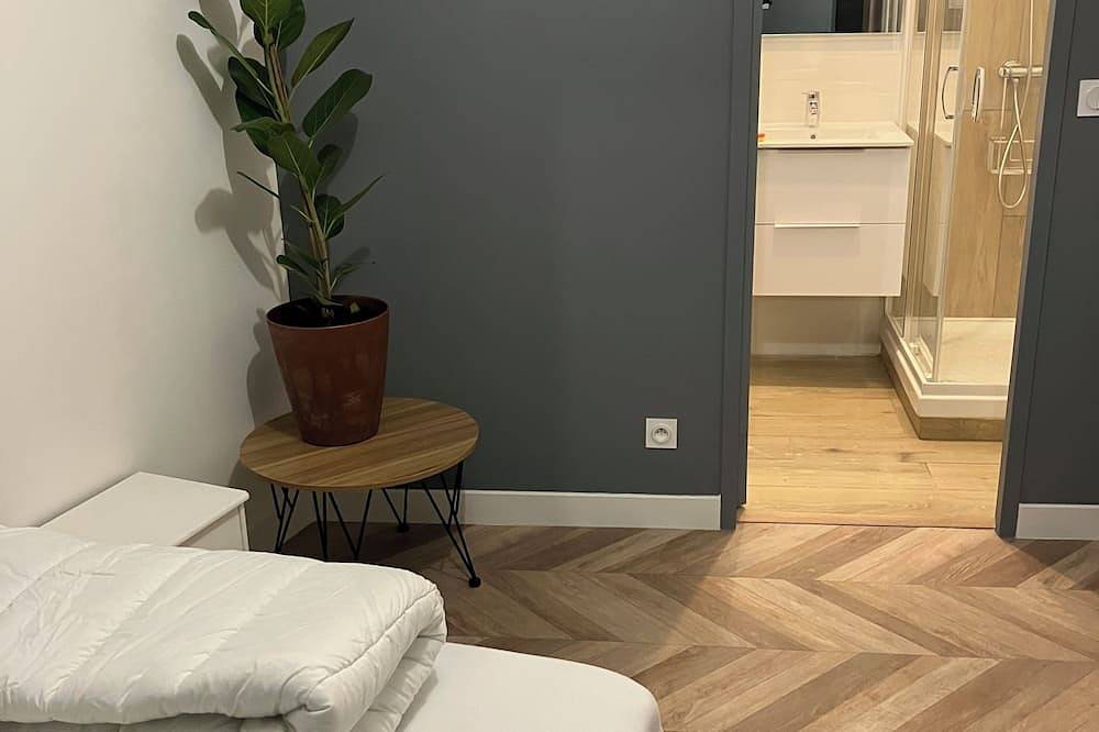 Appartement entier, Studio st pierre château saumur in Saumur, Vallée de la Loire