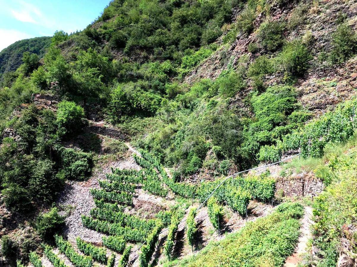Holiday Home in Bremm, Cochem-Zell