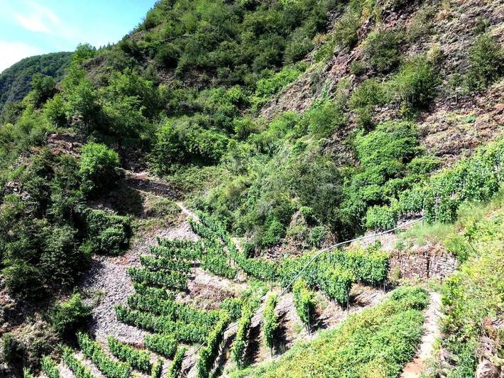 Ferienhaus für 8 Personen, kinderfreundlich in Bremm - 4