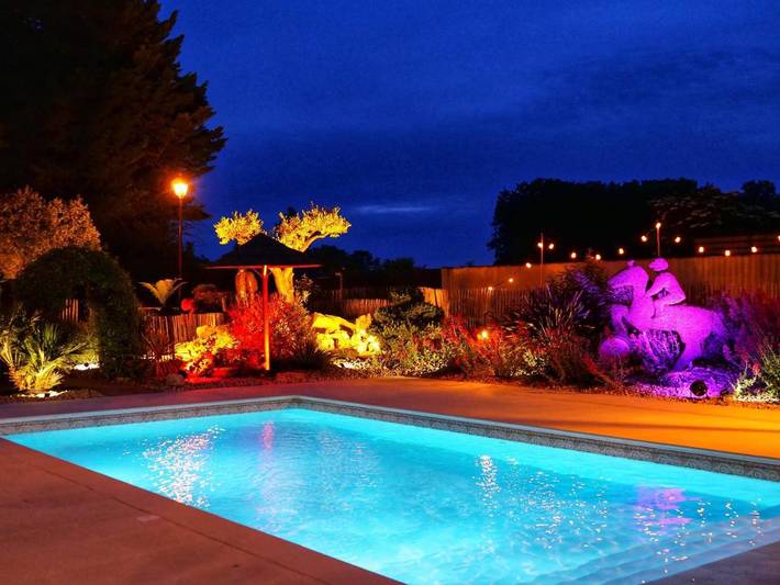 Location de vacances pour 4 personnes, avec vue ainsi que piscine et jardin à Souzay-Champigny - 3
