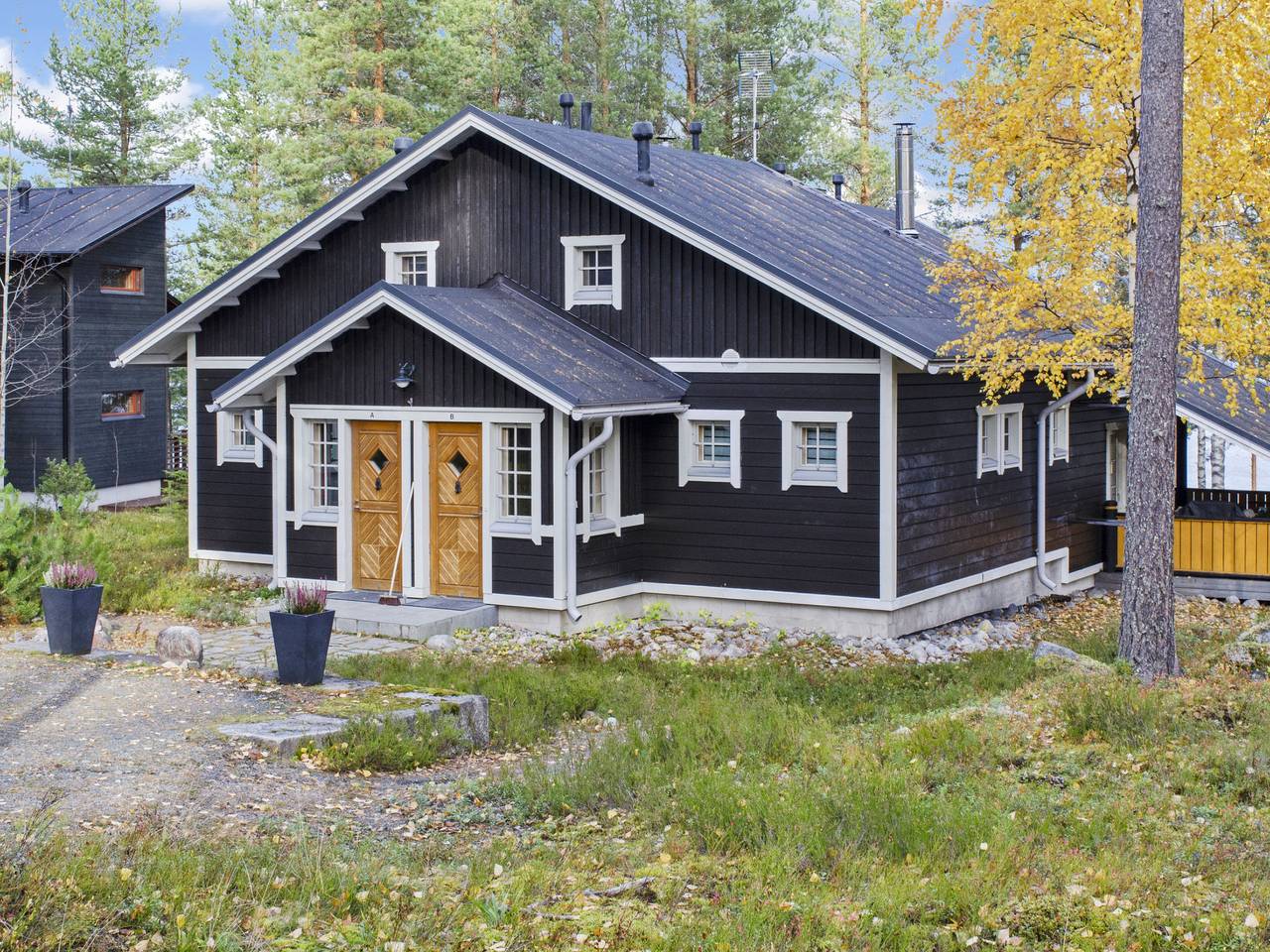 Ganze Wohnung, Koliwood b in Loma-Koli, Pielinen