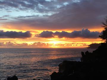 Bungalow for 2 Guests in Hawaiian Beaches, Island of Hawaii, Picture 2