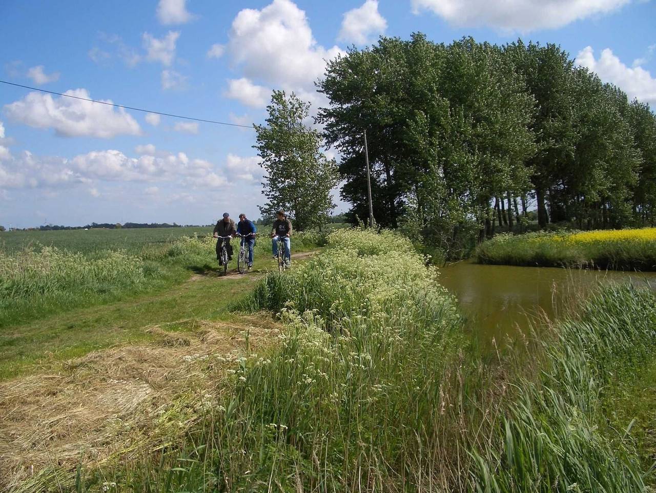 Ferienhof Mittag - Rapsblüte in Werdum, Landkreis Wittmund