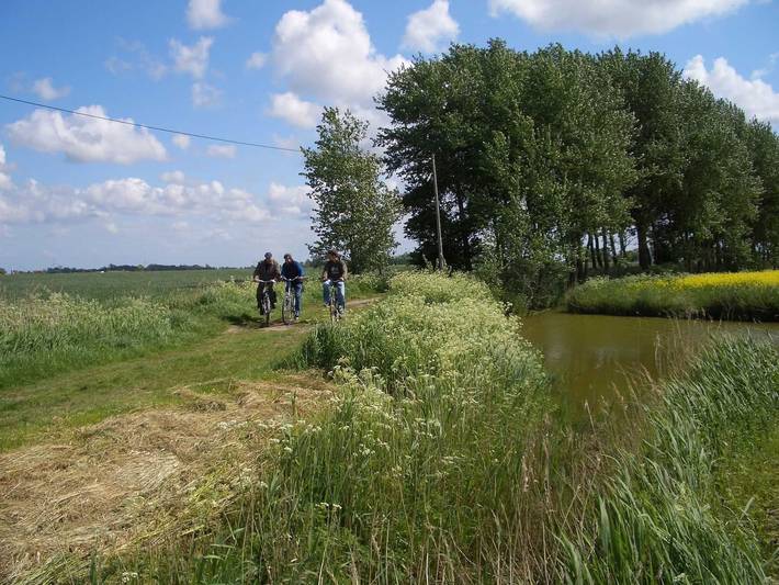 Bauernhaus für 6 Personen, mit Terrasse und Garten in Werdum - 3