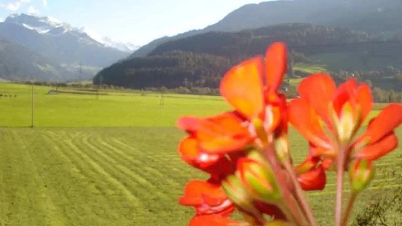Geheel vakantieappartement, Ferienwohnung für 10 Personen (130 m²) in Stumm in Stumm, Ski-Optimal Hochzillertal