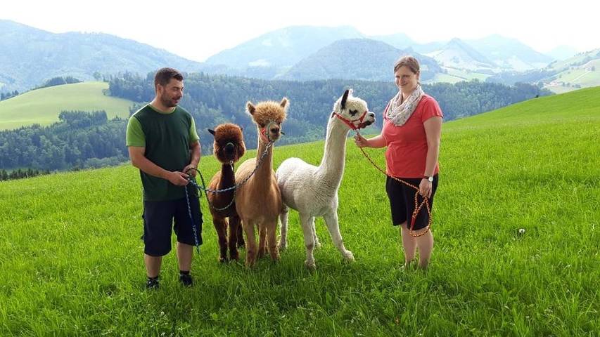 Bauernhaus für 2 Personen, mit Garten und Balkon, mit Haustier in Niederösterreich - 3