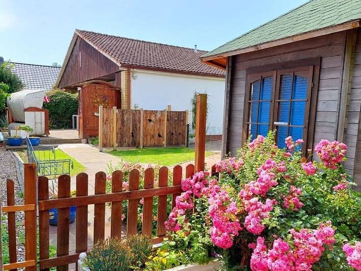 Ferienhaus für 4 Personen, mit Terrasse, mit Haustier in Büsumer Deichhausen - 2