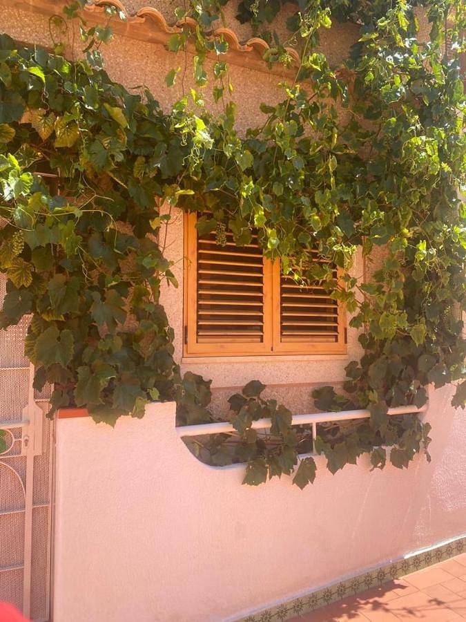 Maison d’hôte pour 2 personnes, avec piscine et bassin pour enfant ainsi que jardin et vue à Elche - 4