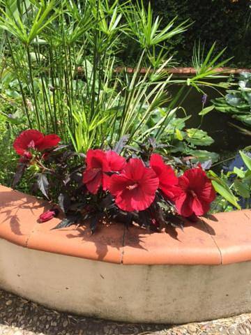 Double Room with Garden View in Valence d'Agen, Quercy