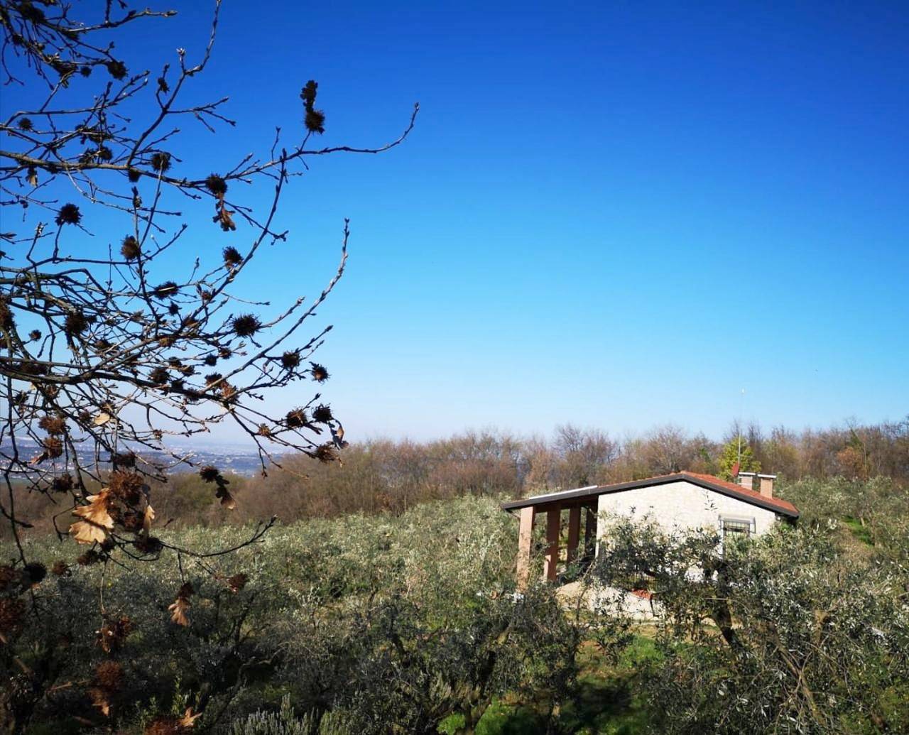 Agriturismo Bosco Magico in Verona, Verona Provinz