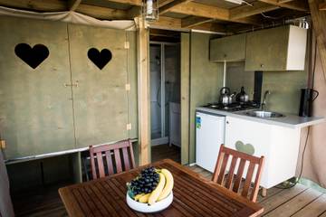 Glamping voor 4 Personen in Zutendaal, Vlaanderen, Afbeelding 4