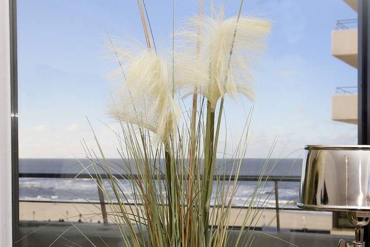 Ganze Ferienwohnung, Haus am Meer, App 73 in Westerland, Sylt (Gemeinde)