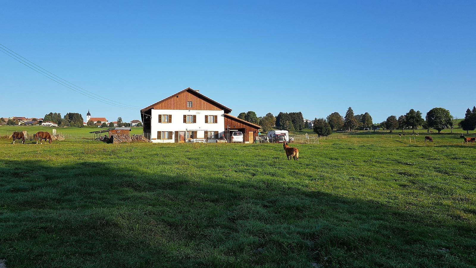 Ganze Ferienwohnung, Appartement - Sous les Barres - Ferienwohnung (1-6 Personen) in Montfaucon, Kanton Jura