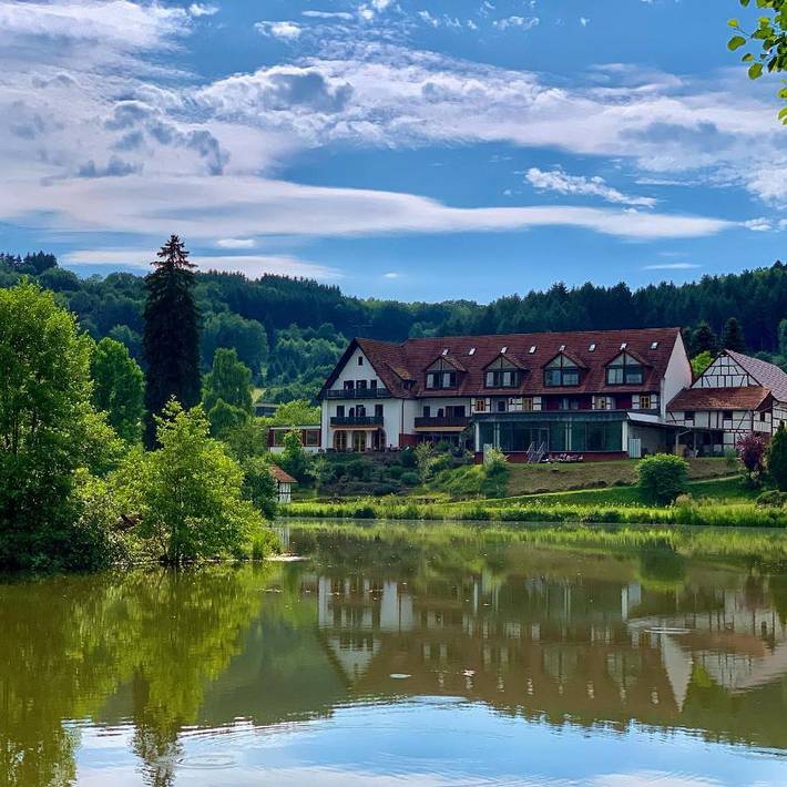 Hotel für 4 Personen, mit Terrasse und Garten sowie Pool und Sauna in Unterfranken - 2